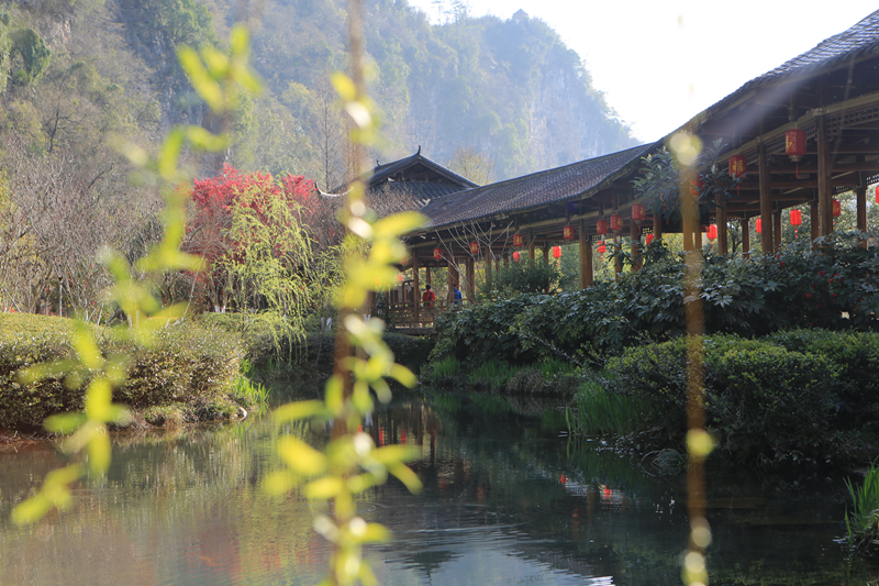 張家界黃龍洞景區(qū)：踏青賞花賞春光（組圖）